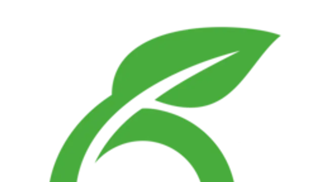 Overleaf